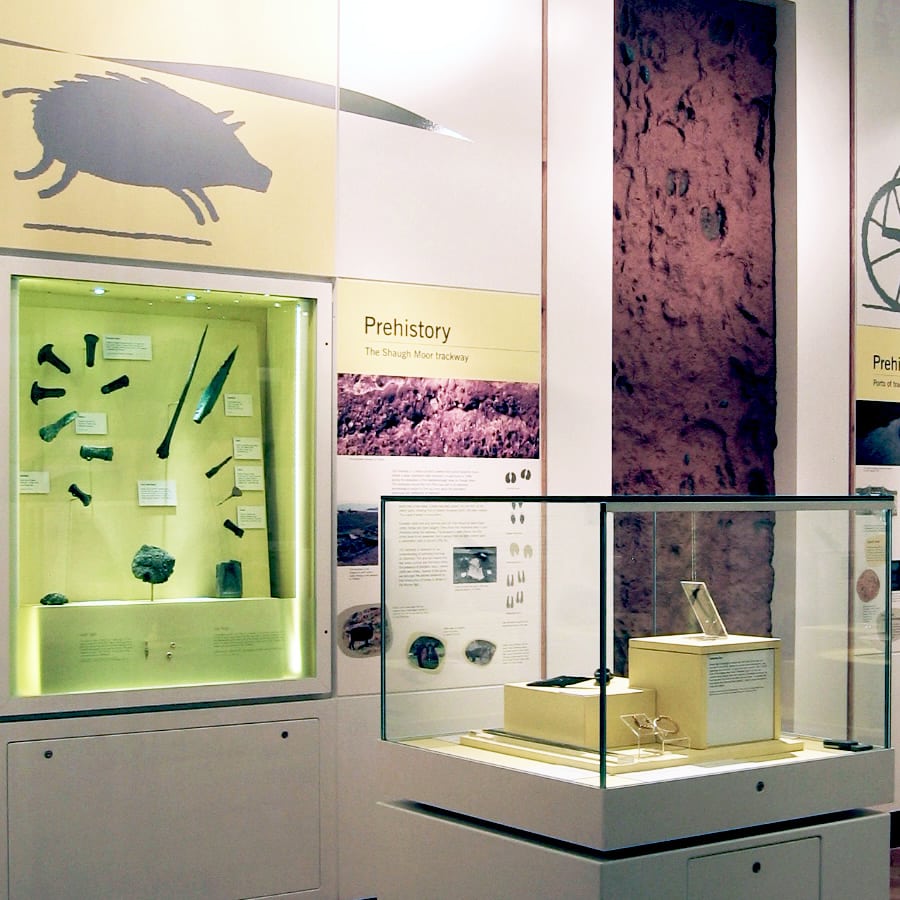 museum display showcases