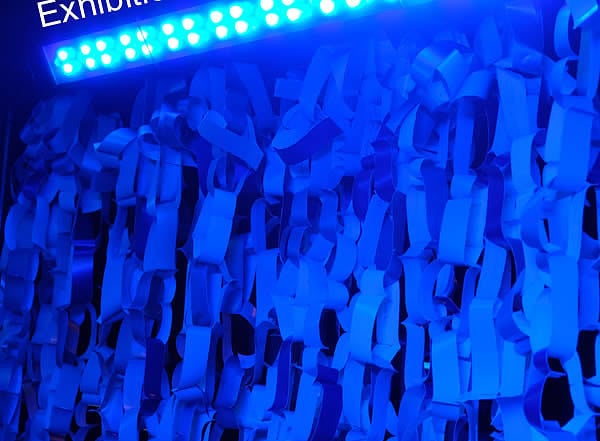 immersive exhibition design projects