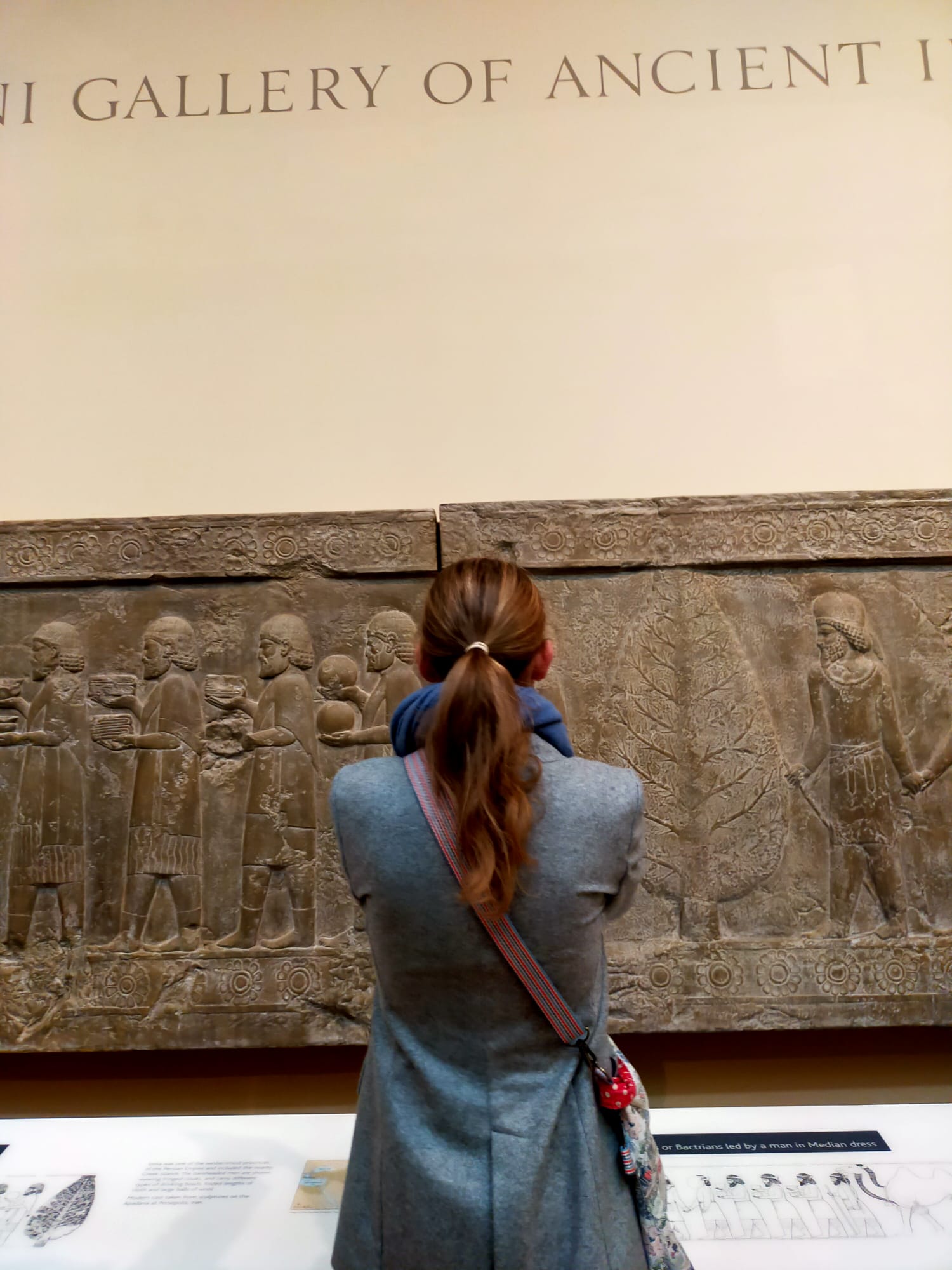 museum designers