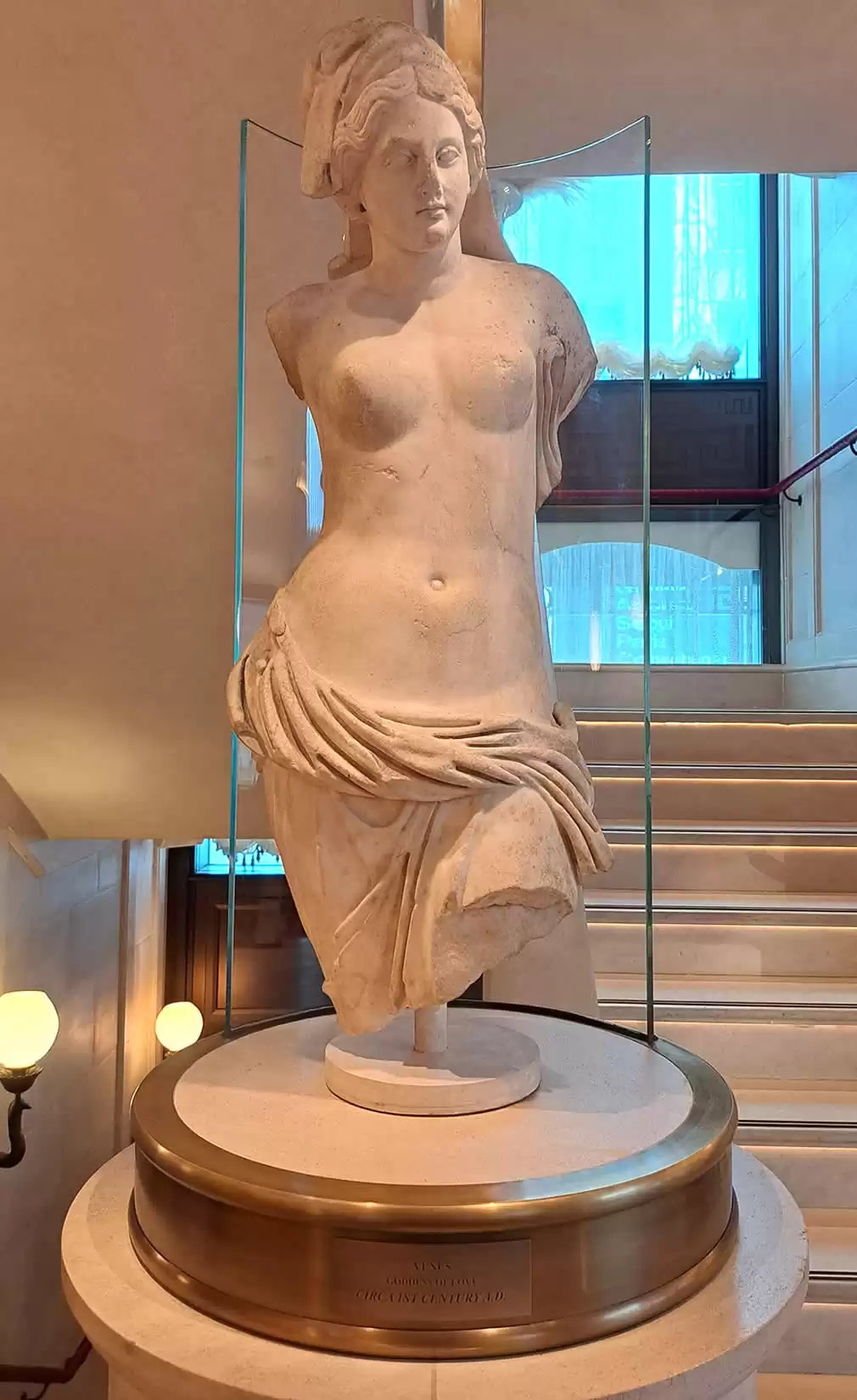 Venus - Art Installation and Curation
